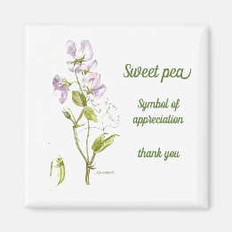 Pastel paarse en groene waterverf zoete dop magneet