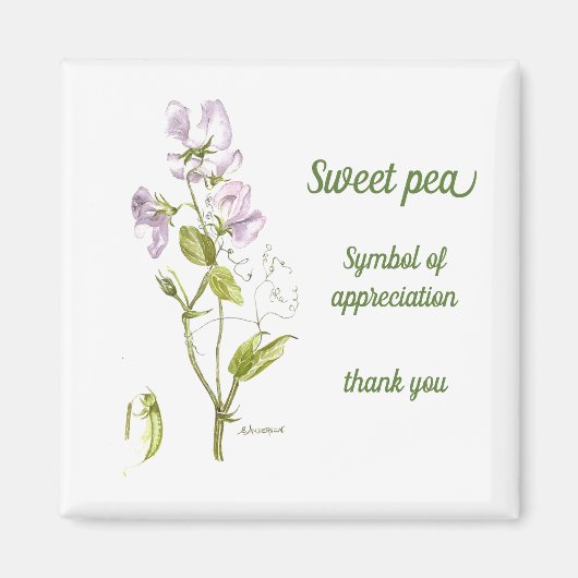 Pastel paarse en groene waterverf zoete dop magneet (Voorkant)