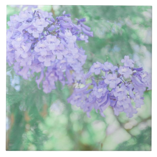 Pastel Paarse Jacaranda Tree Flowers Tegeltje (Voorkant)