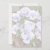 Pastel Paarse Pansies Foto Vrijgezellenfeest Sjabl Kaart (Achterkant)