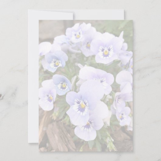 Pastel Paarse Pansies Foto Vrijgezellenfeest Sjabl Kaart (Achterkant)