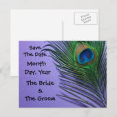 Pastel Paarse Pauw Save the Date Briefkaart (Voorkant / Achterkant)