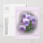 Pastel Pansies Briefkaart (Voorkant / Achterkant)