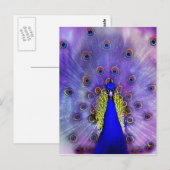 Pastel Peacock Blue Bird Briefkaart (Voorkant / Achterkant)