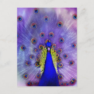 Pastel Peacock Blue Bird Briefkaart