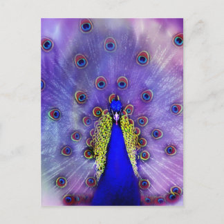 Pastel Peacock Blue Bird Briefkaart