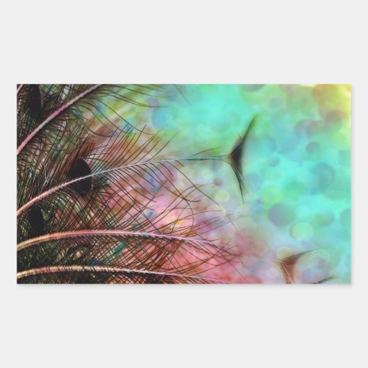 Pastel Peacock Feathers Rechthoekige Sticker (Voorkant)