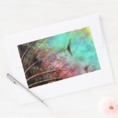 Pastel Peacock Feathers Rechthoekige Sticker (Envelop)