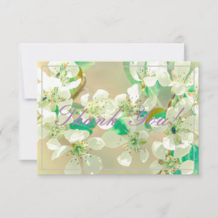 Pastel Pear Tree Blossom Dank je platte Kaart