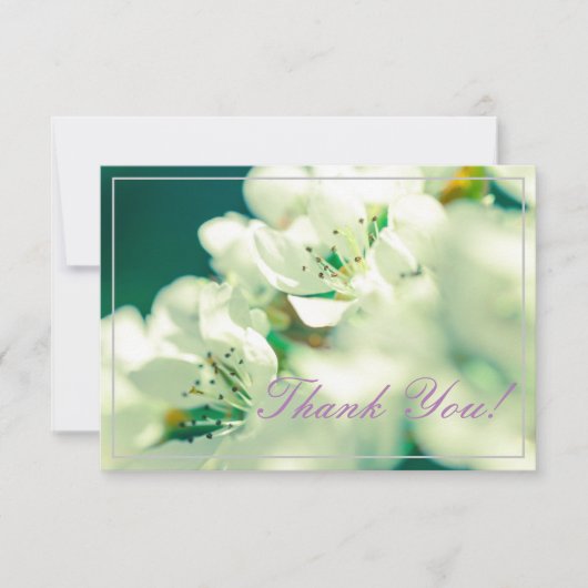 Pastel Pear Tree Blossom Dank je platte Kaart (Voorkant)