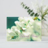 Pastel Pear Tree Blossom Dank je platte Kaart (Staand voorkant)