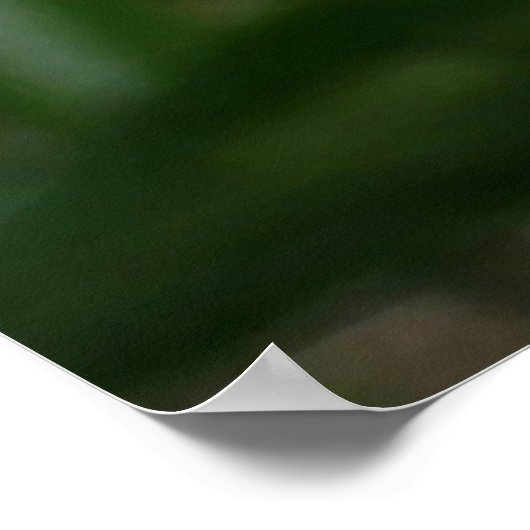 Pastel Peony Waterverf Print Pink White Poster (Hoek)