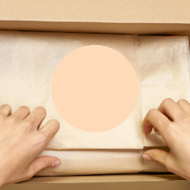 Pastel Perzik Effen Kleur | Klassiek | Elegant Ronde Sticker
