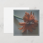Pastel Pink Chrysanthemum Jouw tekst Flat Kaart (Voorkant / Achterkant)