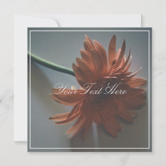 Pastel Pink Chrysanthemum Jouw tekst Flat Kaart (Voorkant)