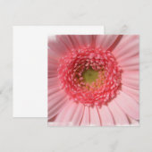 Pastel Pink Daisy Invitations Kaart (Voorkant / Achterkant)