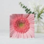 Pastel Pink Daisy Invitations Kaart (Staand voorkant)