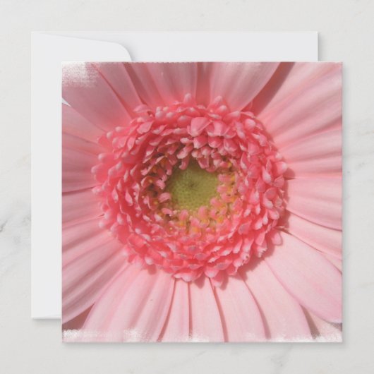 Pastel Pink Daisy Invitations Kaart (Voorkant)