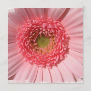 Pastel Pink Daisy Invitations Kaart