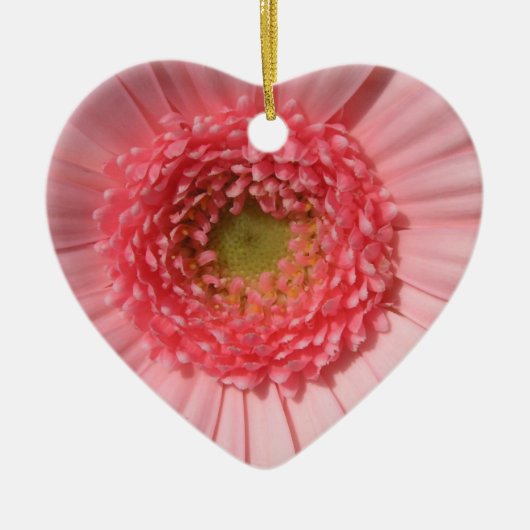Pastel Pink Daisy Ornament (Voorkant)