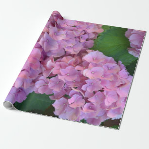 Pastel pink Hortensia hydrangea bloom Cadeaupapier