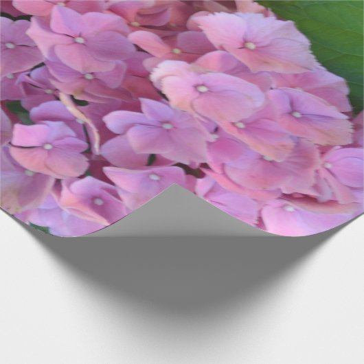 Pastel pink Hortensia hydrangea bloom Cadeaupapier (Hoek)
