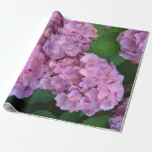 Pastel pink Hortensia hydrangea bloom Cadeaupapier (Uitgerold)