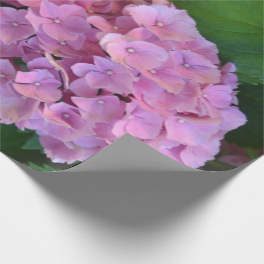 Pastel pink Hortensia hydrangea bloom Cadeaupapier (Hoek)