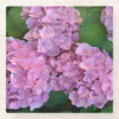 Pastel pink Hortensia hydrangea bloom Glazen Onderzetter (Voorkant)
