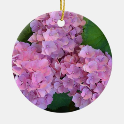 Pastel pink Hortensia hydrangea bloom Keramisch Ornament (Voorkant)