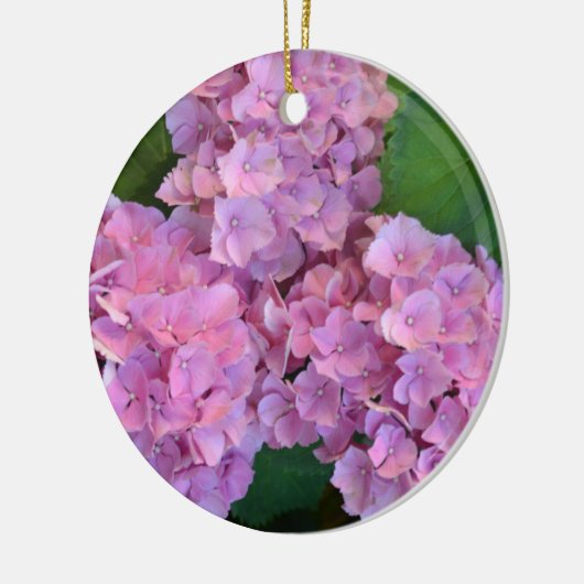 Pastel pink Hortensia hydrangea bloom Keramisch Ornament (Links)