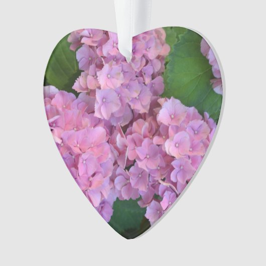 Pastel pink Hortensia hydrangea bloom Ornament (voorkant)
