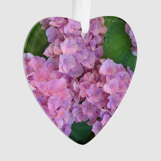 Pastel pink Hortensia hydrangea bloom Ornament (voorkant)