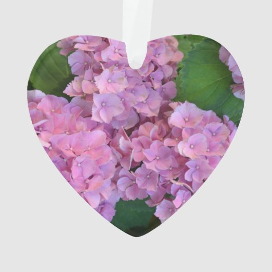 Pastel pink Hortensia hydrangea bloom Ornament (achterkant)