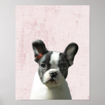 Pastel Pink Peekaboo Boston Terrier Puppy Nursery
