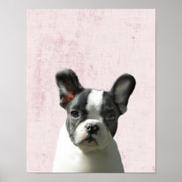 Pastel Pink Peekaboo Boston Terrier Puppy Nursery Poster