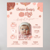 Pastel Pink Pumpkin 1st Birthday Photo Milestone Poster (Voorkant)