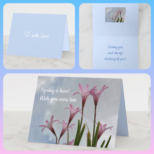 Pastel Pink Rain Lilies Springtime Floral Card Kaart