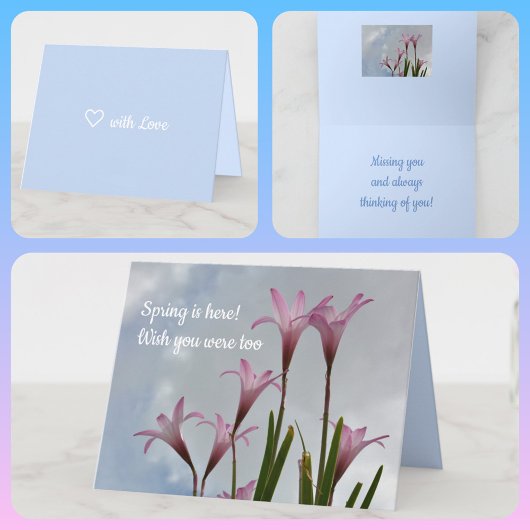Pastel Pink Rain Lilies Springtime Floral Card Kaart