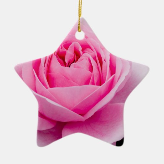 Pastel Pink Rose Ornament (Voorkant)