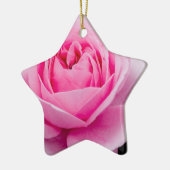 Pastel Pink Rose Ornament (Links)
