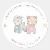 Pastel Pluche Speelgoed Baby shower Ronde Sticker (Voorkant)