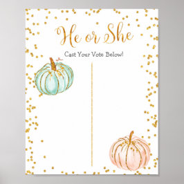 Pastel Pumpkin Gender onthullen Poster stembord
