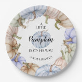 Pastel Pumpkins Boy Baby shower Papieren Bordje (Voorkant)