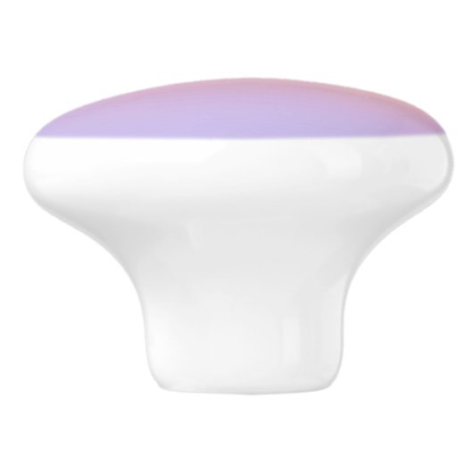 Pastel Rainbow Gradient Ombre Keramische Knop (Zijkant)