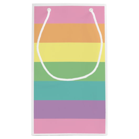 Pastel Rainbow Stripe Gift Bag Klein Cadeauzakje (Achterkant)