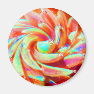 Pastel Regenboog Bubble Ocean Zee Anemone Art Magn Magneet