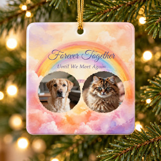 Pastel Regenboogbrug Twee Huisdier Foto Herdenking Keramisch Ornament