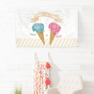 Pastel Retro Ice Cream Gender Reopenbaart Spandoek