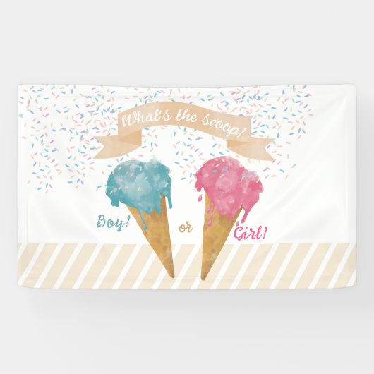 Pastel Retro Ice Cream Gender Reopenbaart Spandoek (Horizontaal)